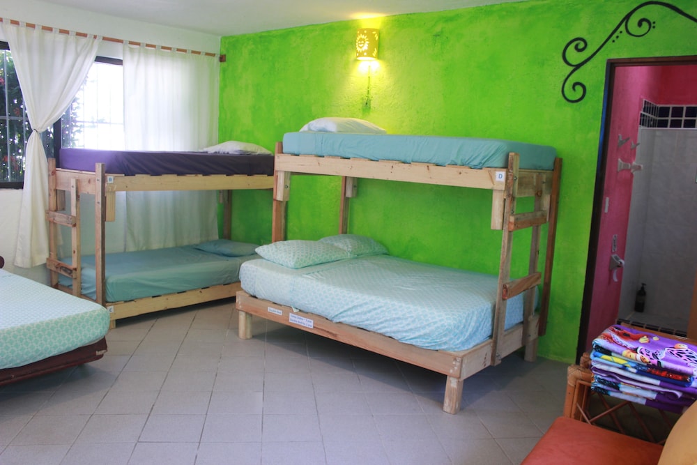 Family Room, Multiple Beds photo 3
