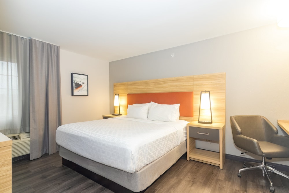 Suite, 1 Bedroom - Photo 6