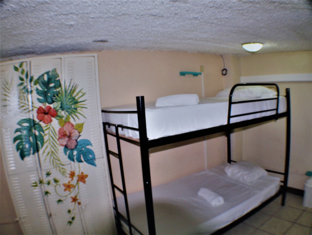 Economy Shared Dormitory, Mixed Dorm photo 1