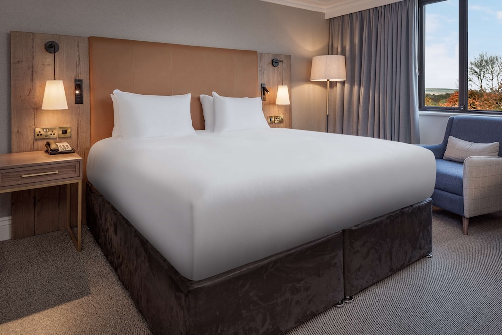 Room, 1 King Bed, photo 7