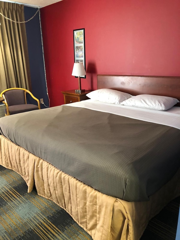 Room, 1 King Bed