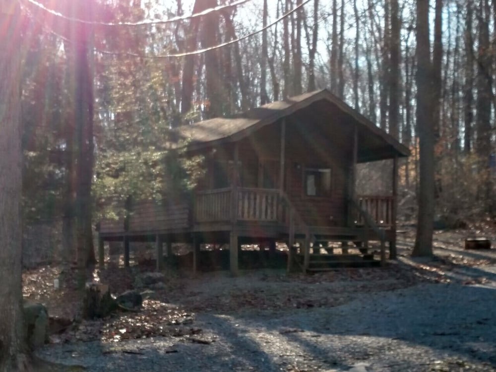 Cottage, 1 Bedroom, Non Smoking, Kitchen (Linens Not Included, No Pets) photo 1