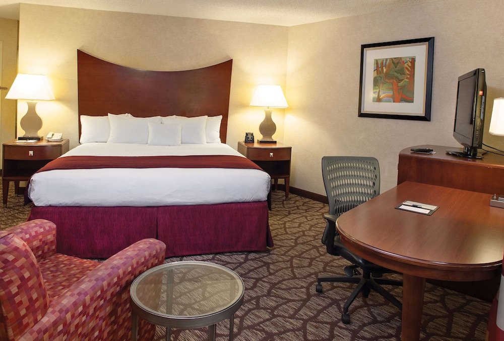 Room, 1 King Bed, Accessible, Refrigerator - Photo 3