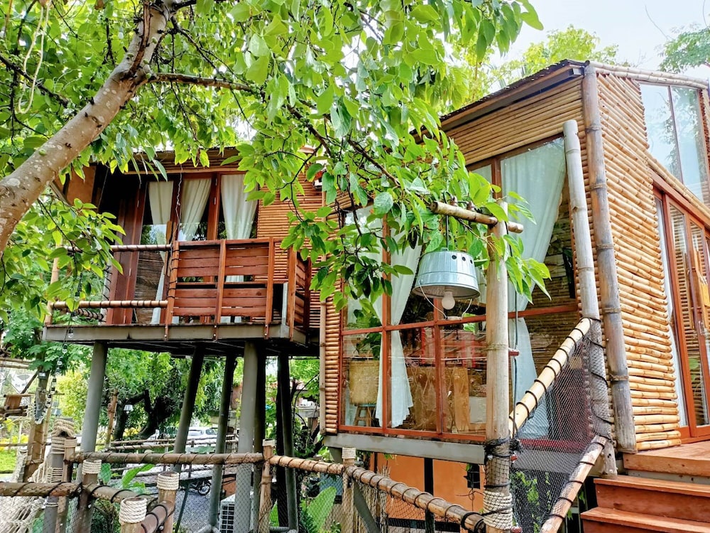Tree House photo 2