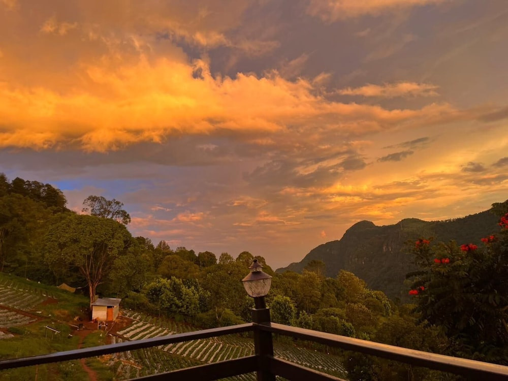 Luxury Double Room, Balcony, Garden View photo 1