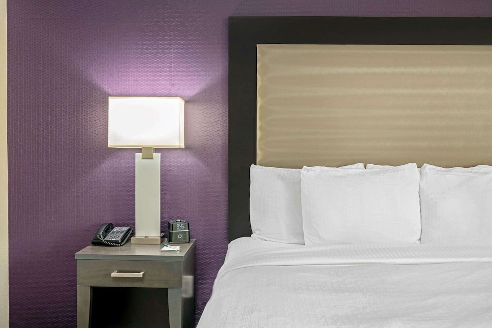 Deluxe Suite, 1 King Bed, Non Smoking photo 2