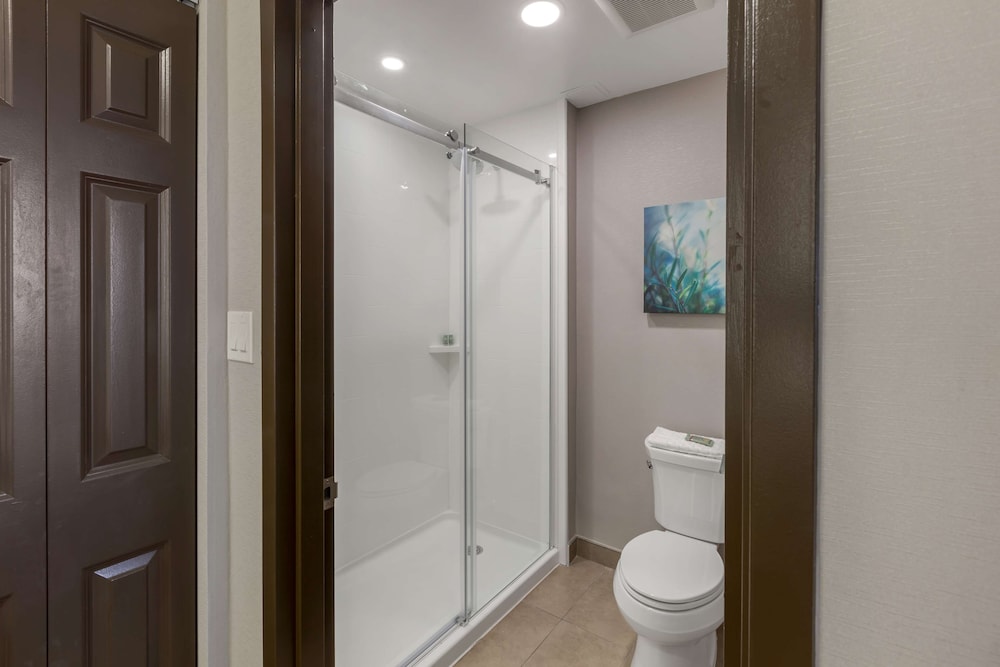 Suite, Multiple Beds, Non Smoking, Kitchen (Shower Only;With Sofabed) - Photo 9