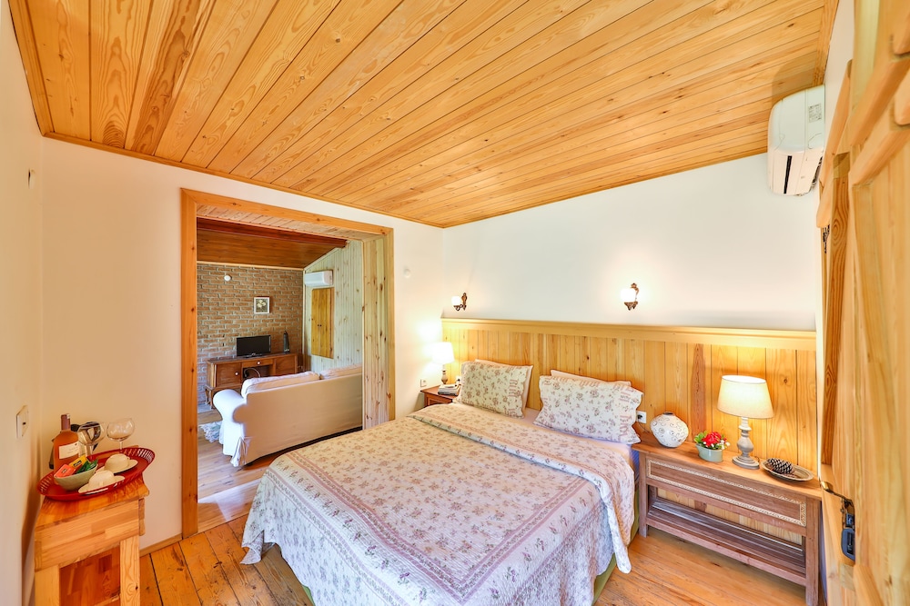 Raindance Suite photo 2