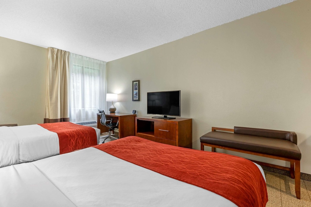Standard Room, 2 Double Beds, Non Smoking photo 2