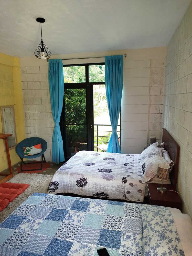 Family Room, Garden View photo 3