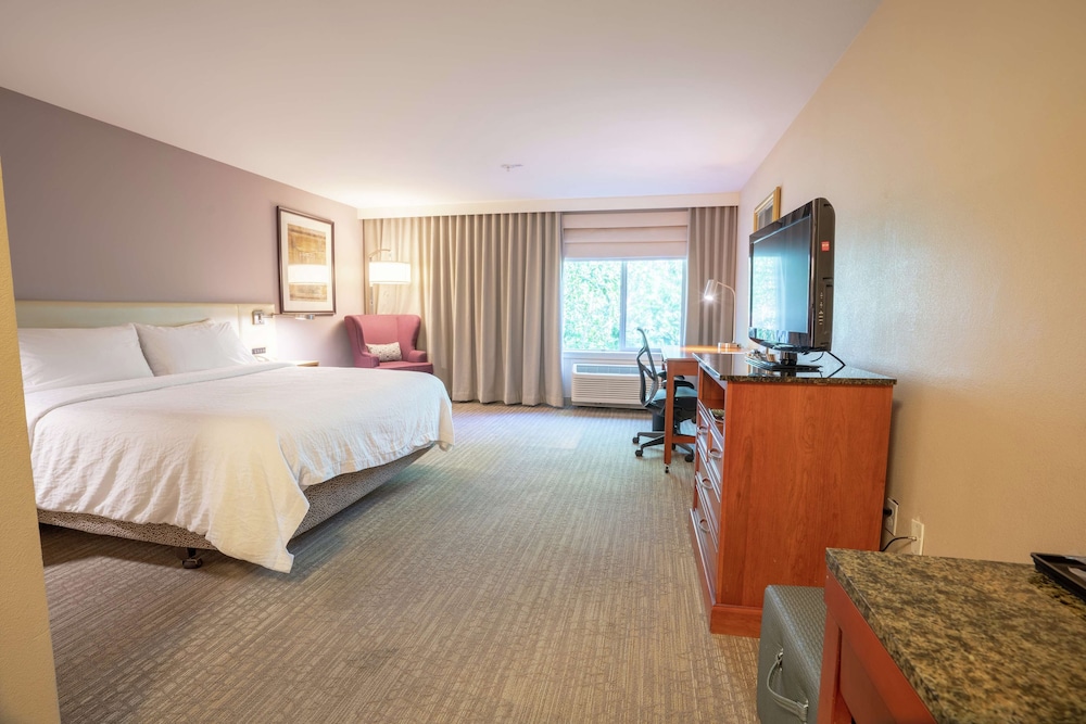 Room, 1 King Bed, Accessible photo 3