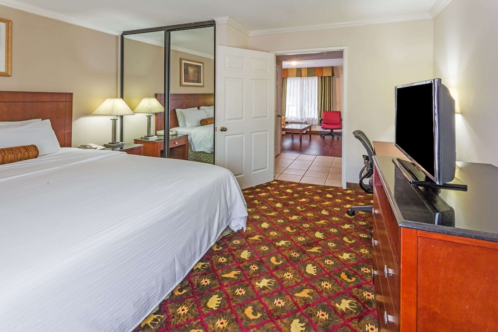 Suite, 1 King Bed, Non Smoking (One-Bedroom Suite) - Photo 1