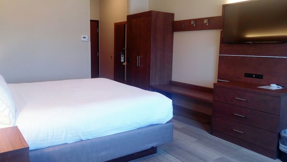 Standard Room, 1 King Bed, Accessible (Mobility, Roll-In Shower) - Photo 2
