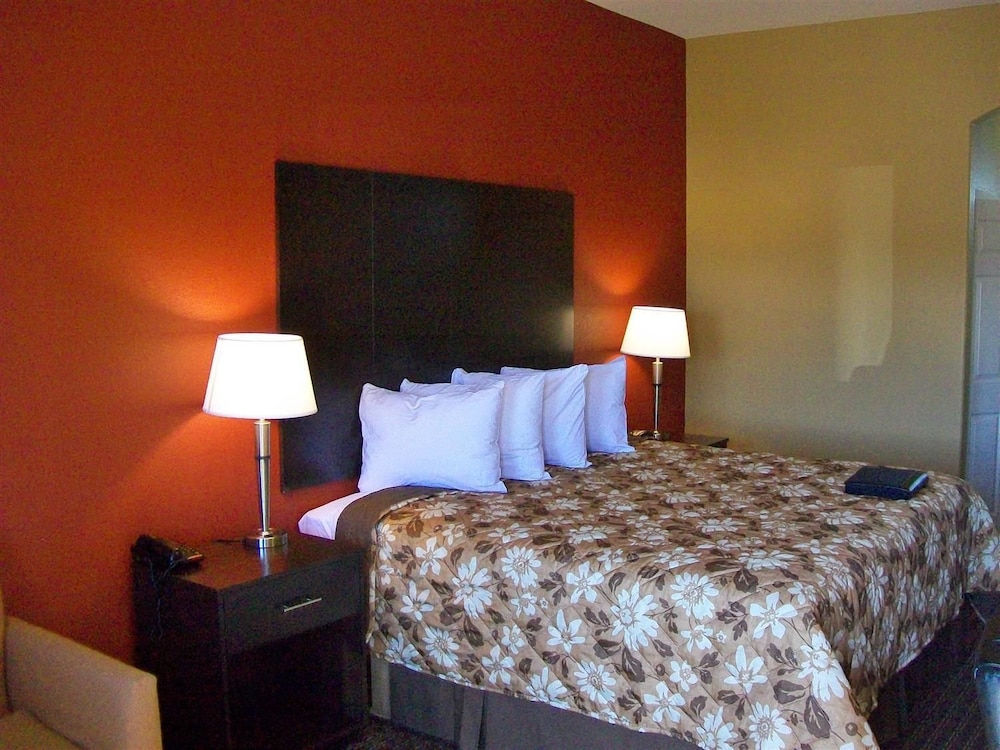 Room, 1 King Bed, Smoking photo 3