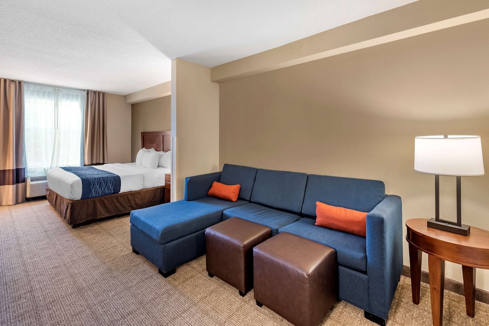 Suite, 1 King Bed, Accessible, Non Smoking (Upgrade) - Photo 1