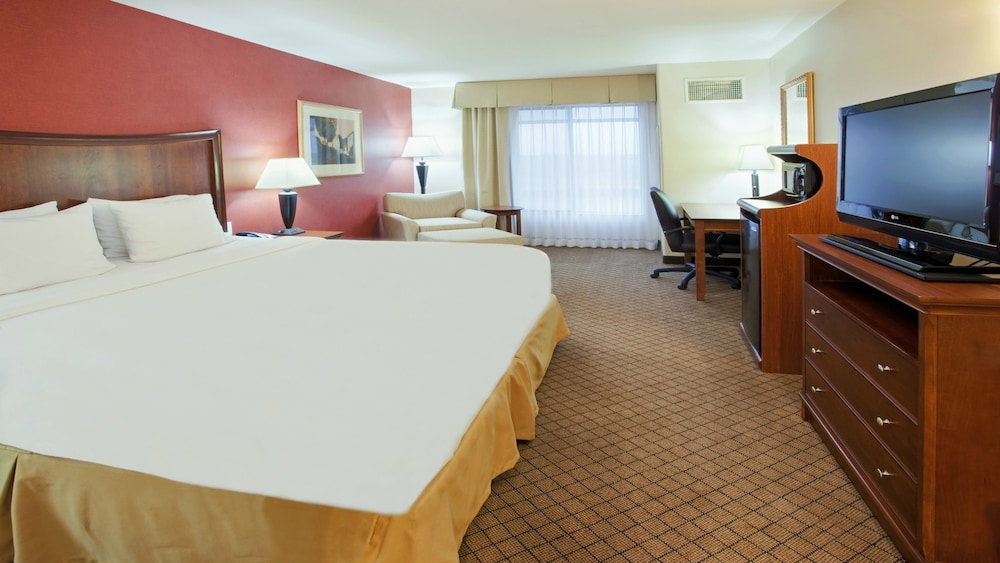 Standard Room, 1 King Bed, Roll-in Shower, Non Smoking (Communications Accessible) - Photo 1