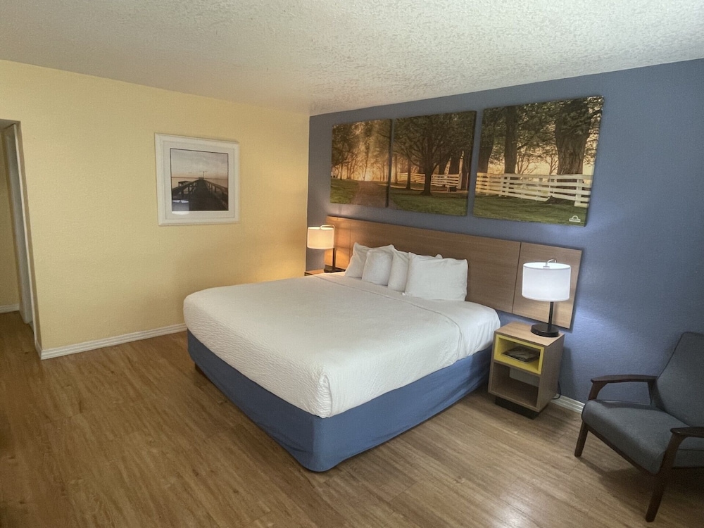 Room, 1 King Bed, Non Smoking photo 2