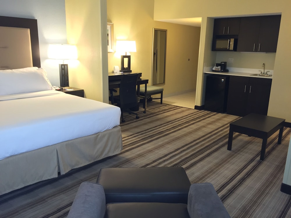 Suite, 1 King Bed with Sofa bed, Accessible (Mobility Tub) photo 1