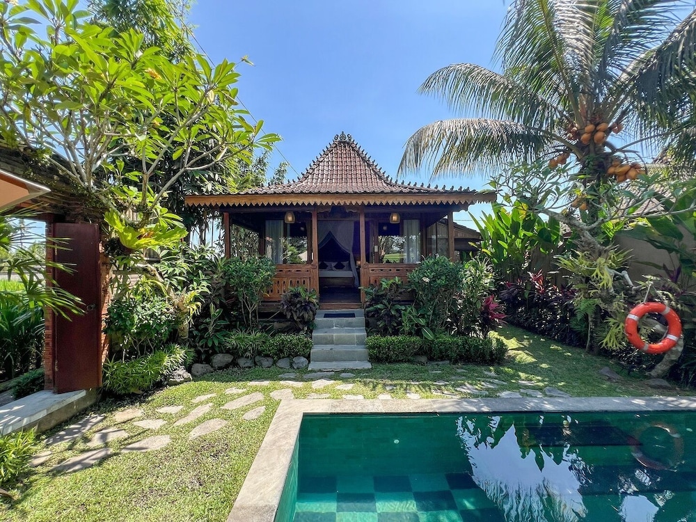 One Bedroom Villa with Free Daily Afternoon Tea photo 2