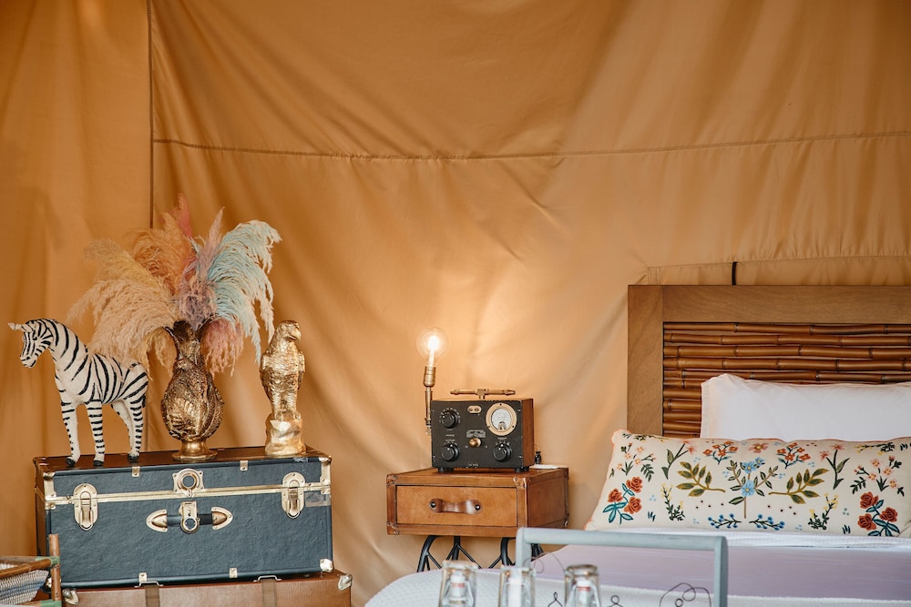 Safari Lux 1 - Photo 4
