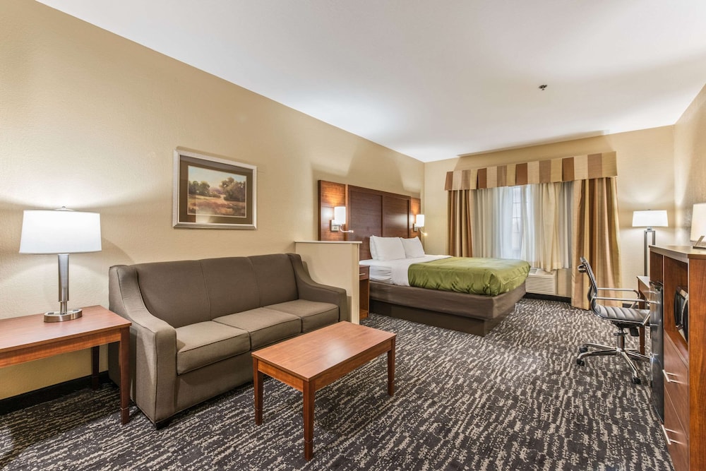 Room, 1 King Bed with Sofa bed, Non Smoking