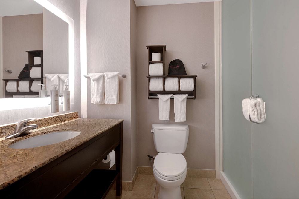 Studio Suite, 1 King Bed, Shower Only, Non Smoking - Photo 9