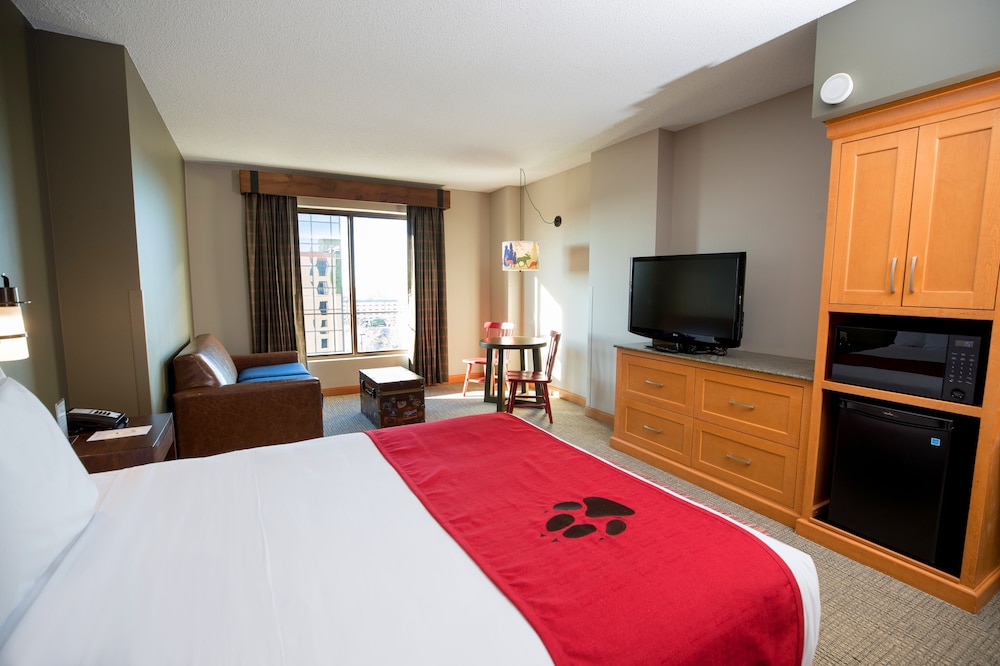 Deluxe Studio Suite (Water Park Included) photo 1