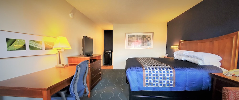 Room, 1 King Bed, Accessible photo 1