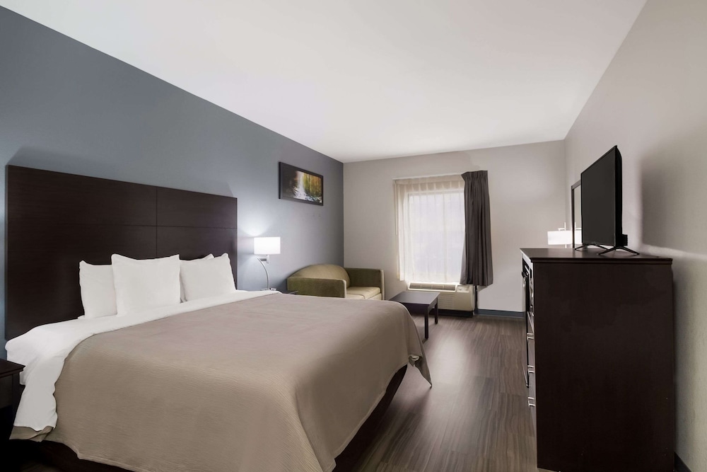 Suite, 1 King Bed, Non Smoking photo 1
