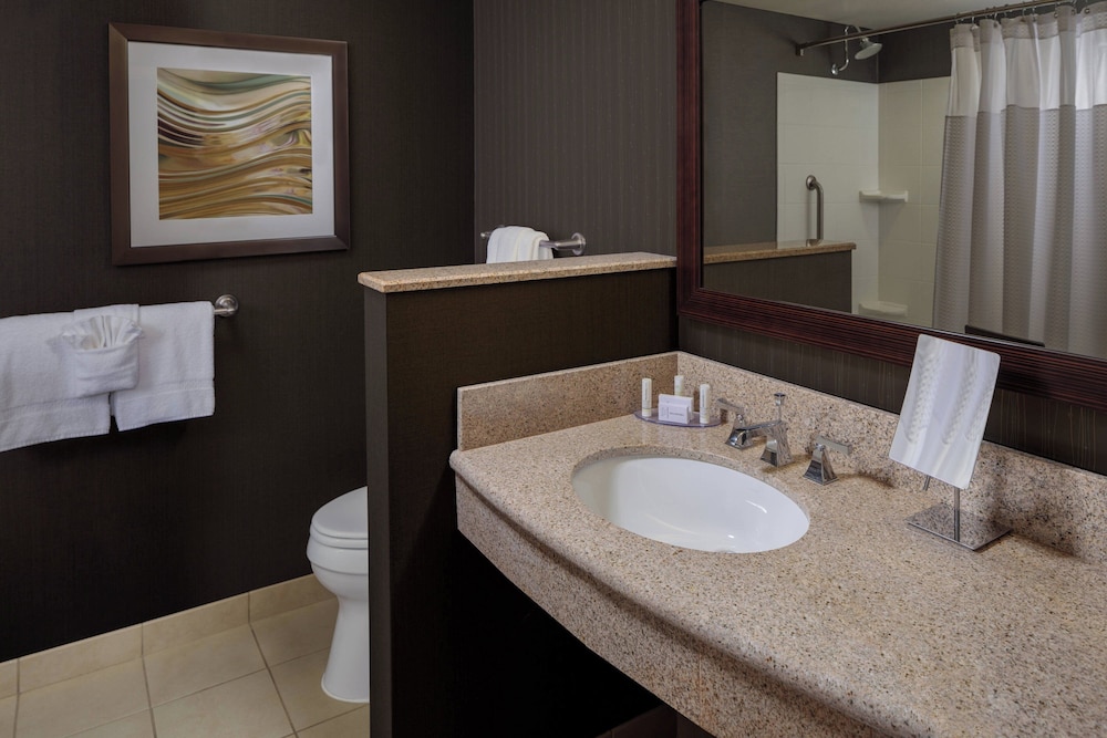 Courtyard by Marriott Houston Medical Center/NRG Park, Foto 2