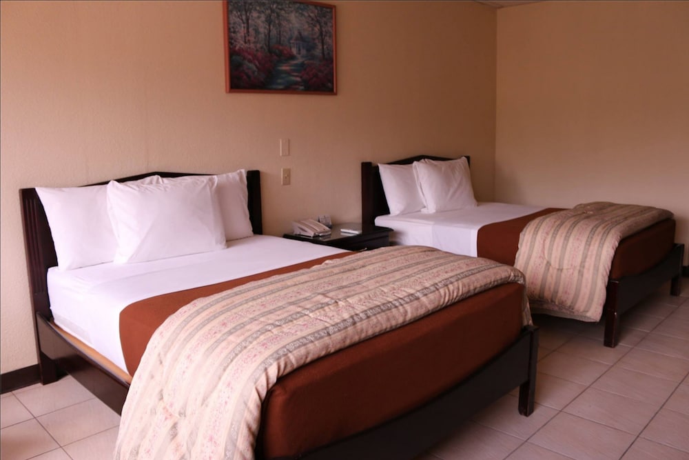 Triple Room photo 2