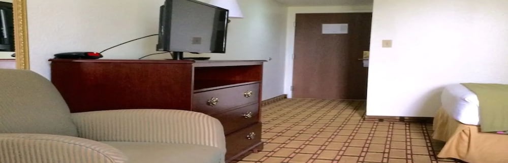 Basic Room, 1 King Bed photo 3