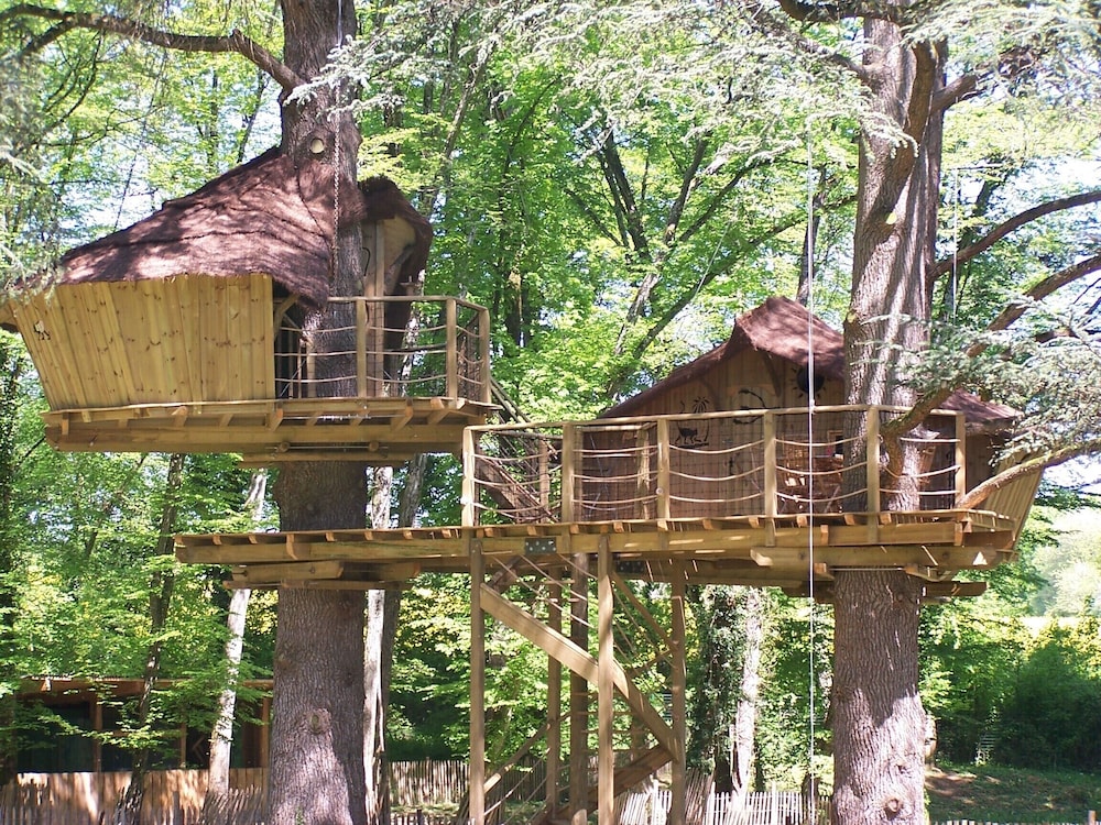 Tree House photo 2