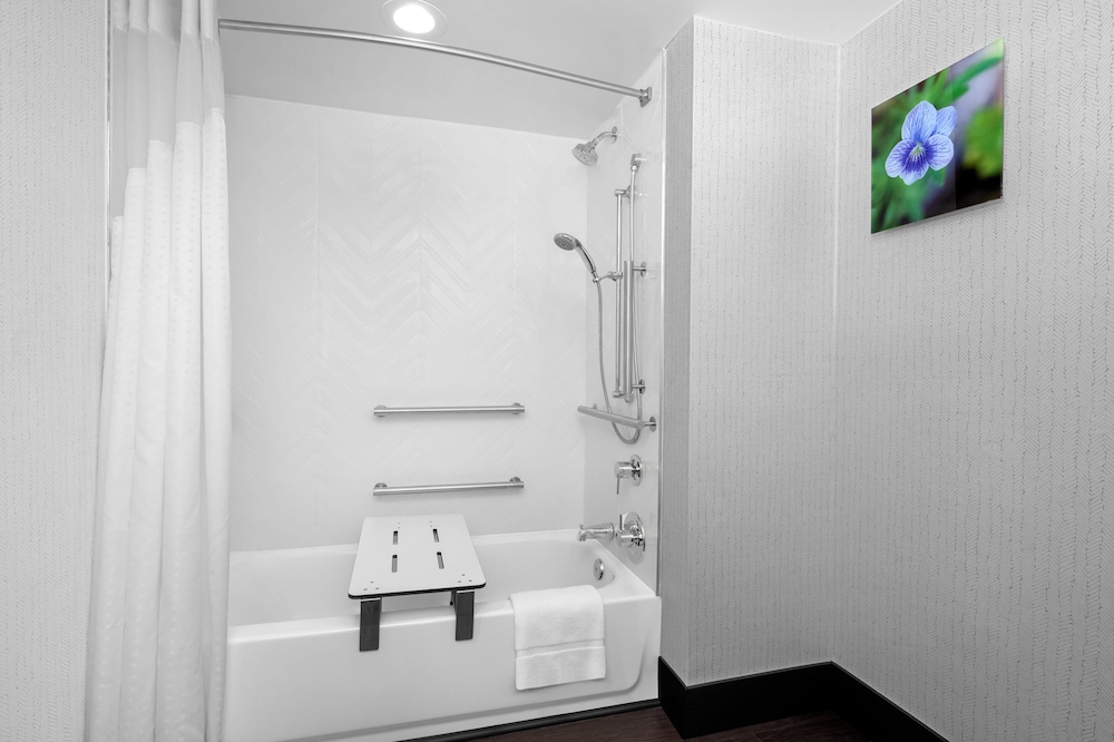 Room, 1 King Bed, Accessible (Accessible Tub) - Photo 3