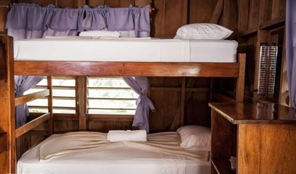 Standard Shared Dormitory, Multiple Beds, Non Smoking photo 2