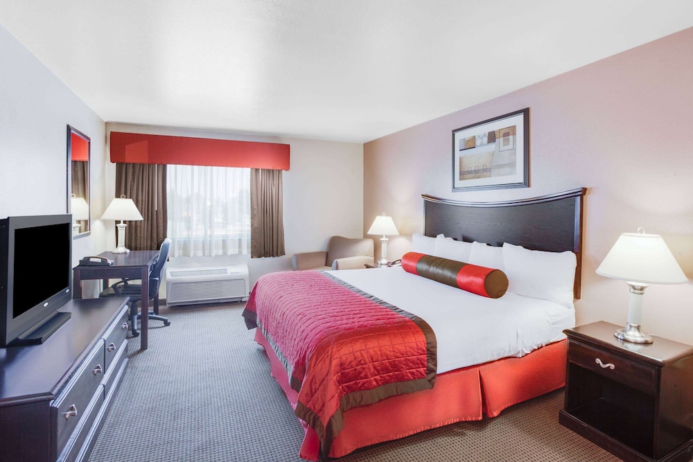 Suite, 1 Bedroom - Photo 1