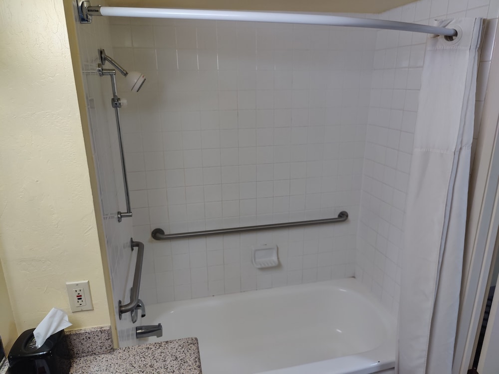 Suite, 1 Bedroom, Non Smoking photo 3