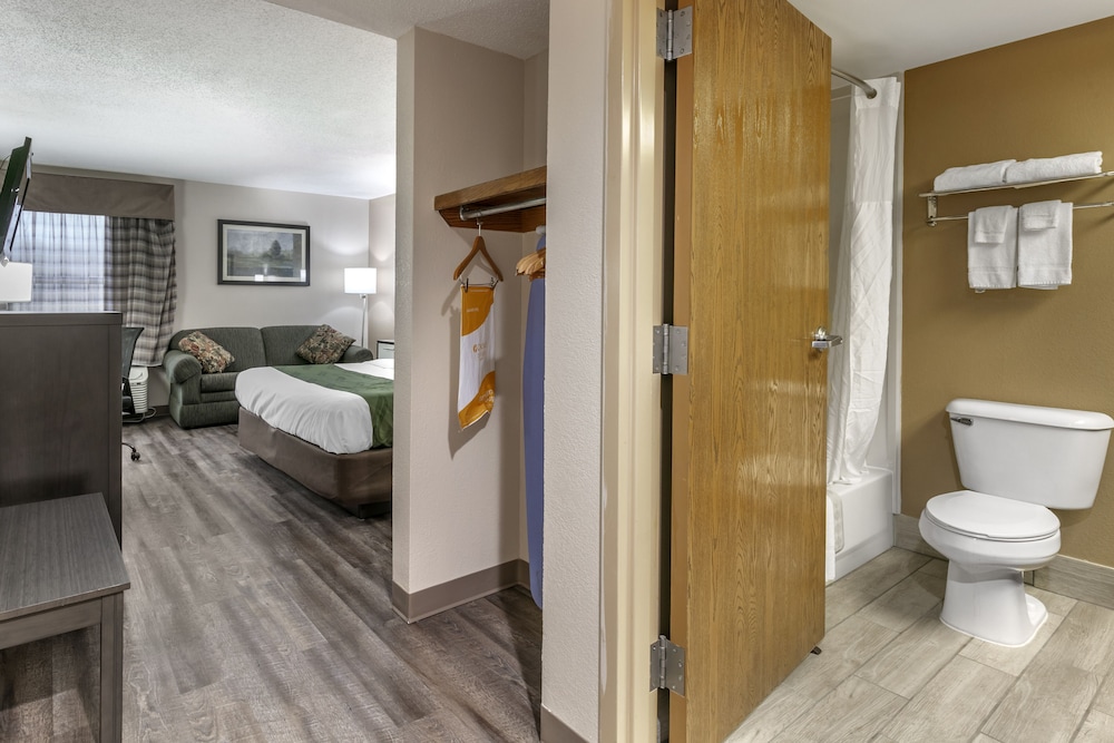 Standard Room, 1 King Bed, Non Smoking - Photo 5