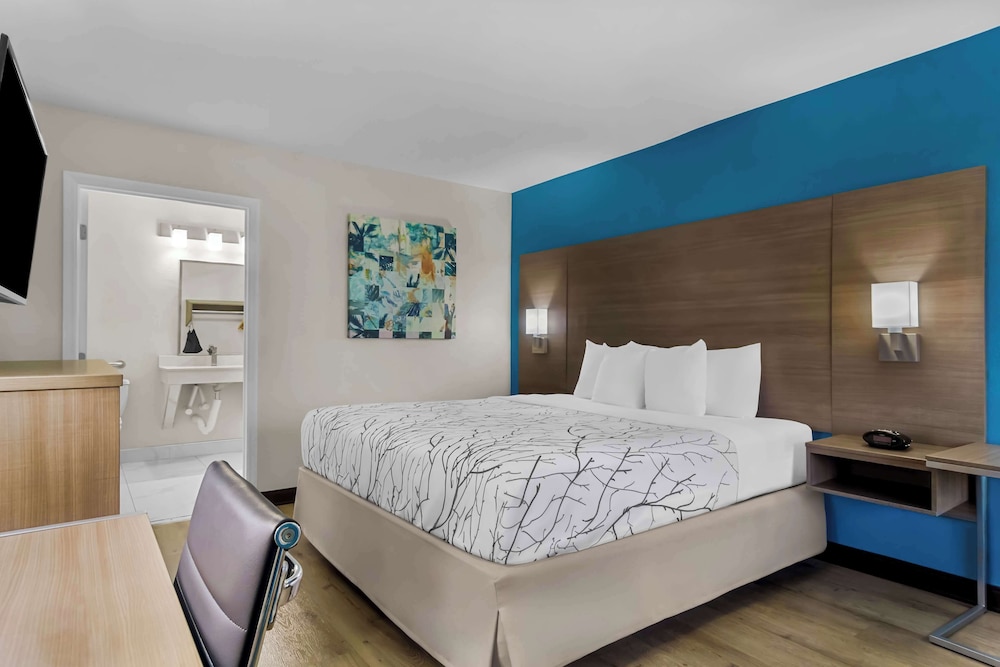 Standard Room, 1 King Bed, Accessible, Refrigerator & Microwave photo 1