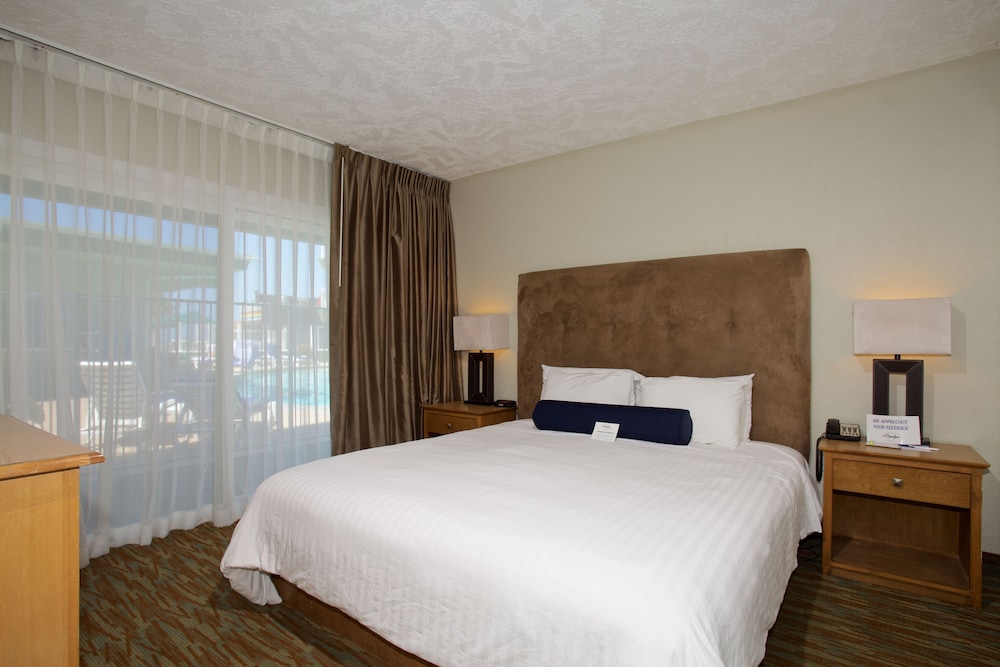 Standard Room, 1 King Bed, Accessible - Photo 3