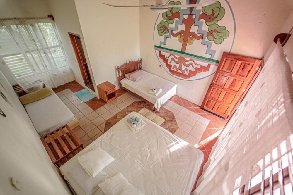 Traditional Room photo 1