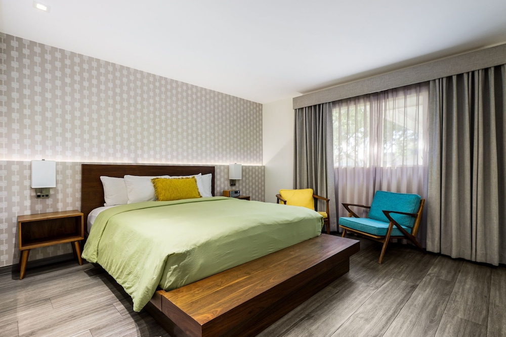 Deluxe Room, 1 King Bed, Roll-in Shower photo 1