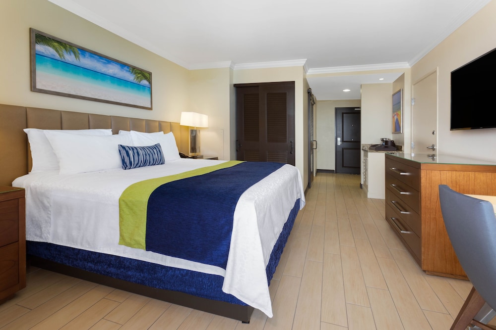 City Room, 1 King Bed photo 2