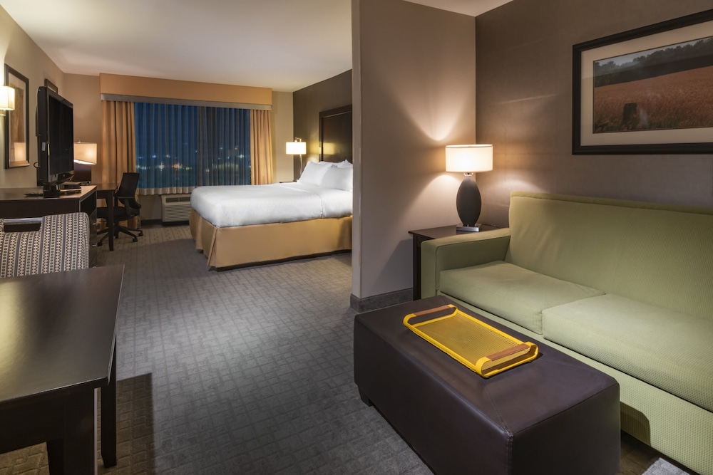Suite, 1 King Bed - Photo 3