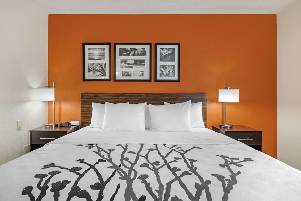 Standard Room, 1 King Bed, Non Smoking - Photo 3
