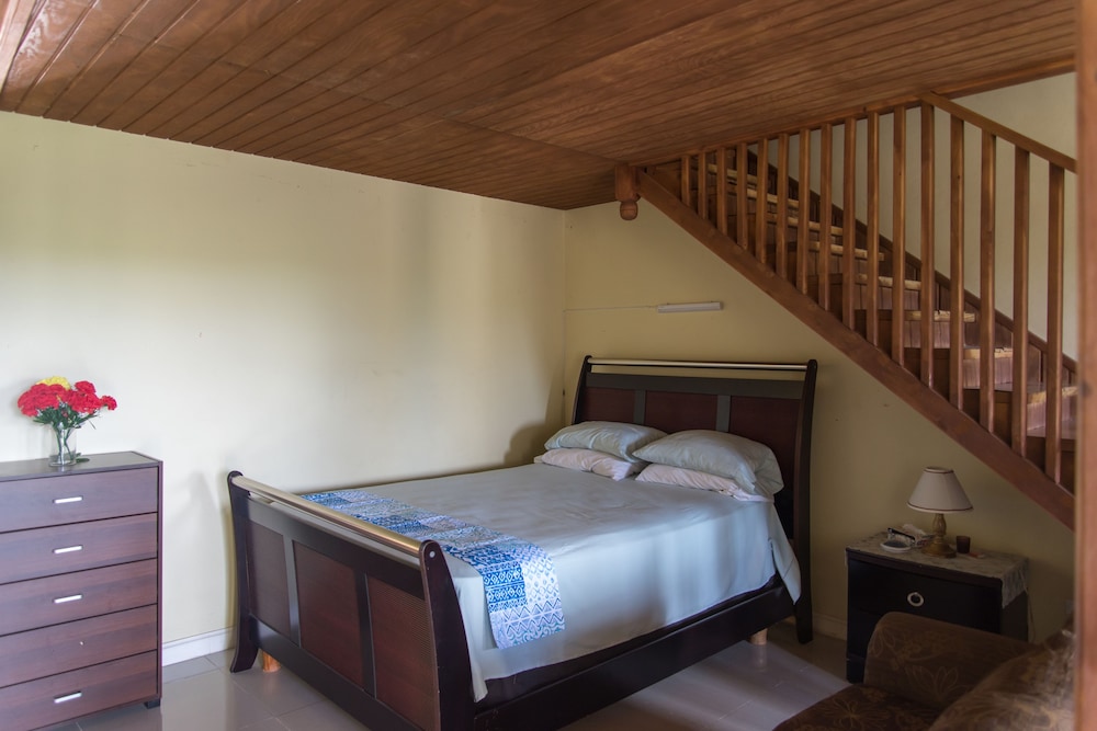 Basic Loft