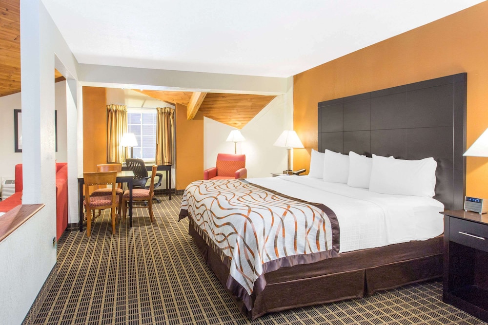 Deluxe Studio Suite, 1 King Bed, Non Smoking - Photo 1