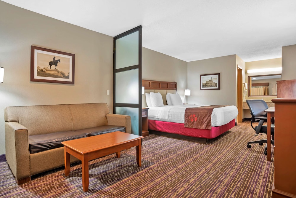 Standard Room, 1 King Bed, Non Smoking, Refrigerator & Microwave (Oversized Room;With Sofabed) photo 3