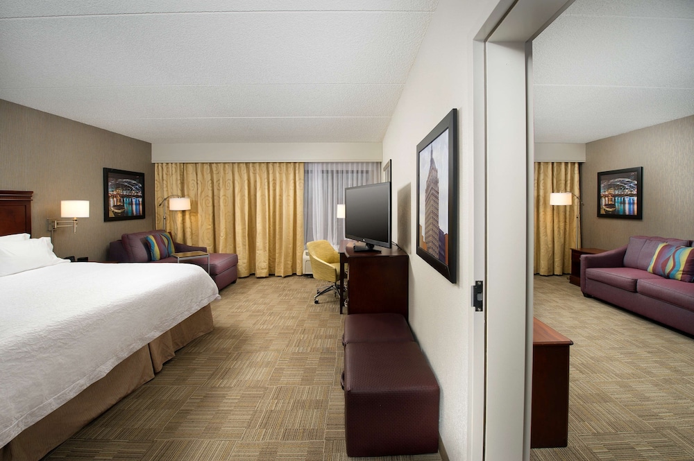 Suite, 1 King Bed with Sofa bed, Non Smoking - Photo 1