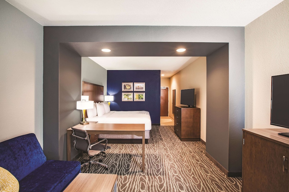 Deluxe Suite, 1 King Bed, Non Smoking (Efficiency) photo 3